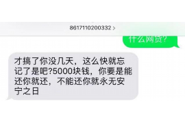 鸡西专业讨债公司，追讨消失的老赖